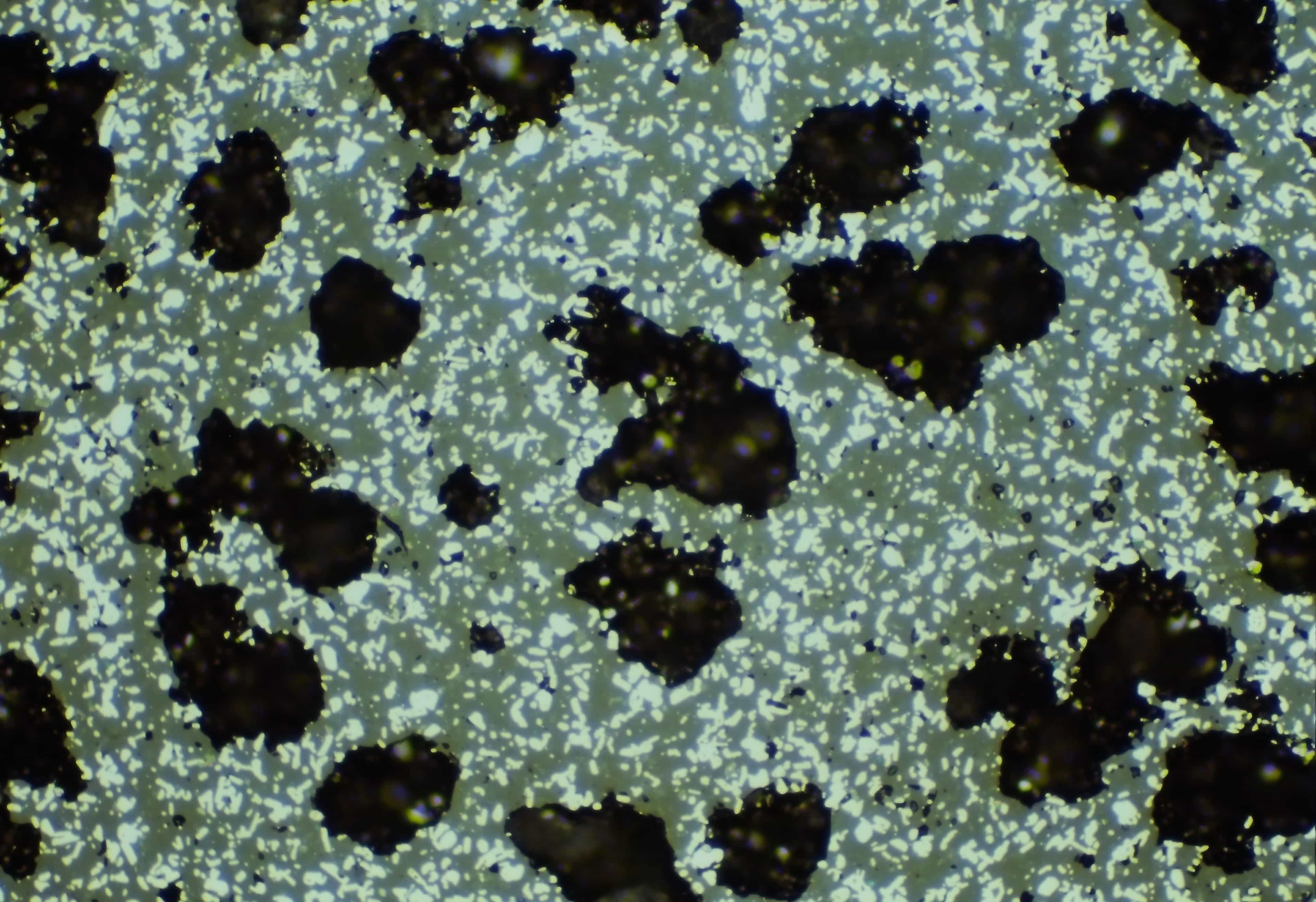 AlON aluminum oxynitride ceramic microstructure at 200X magnification showing metallographic sample preparation results, sputter coated, as-polished surface