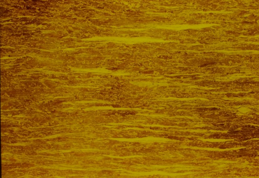 Rolled brass microstructure