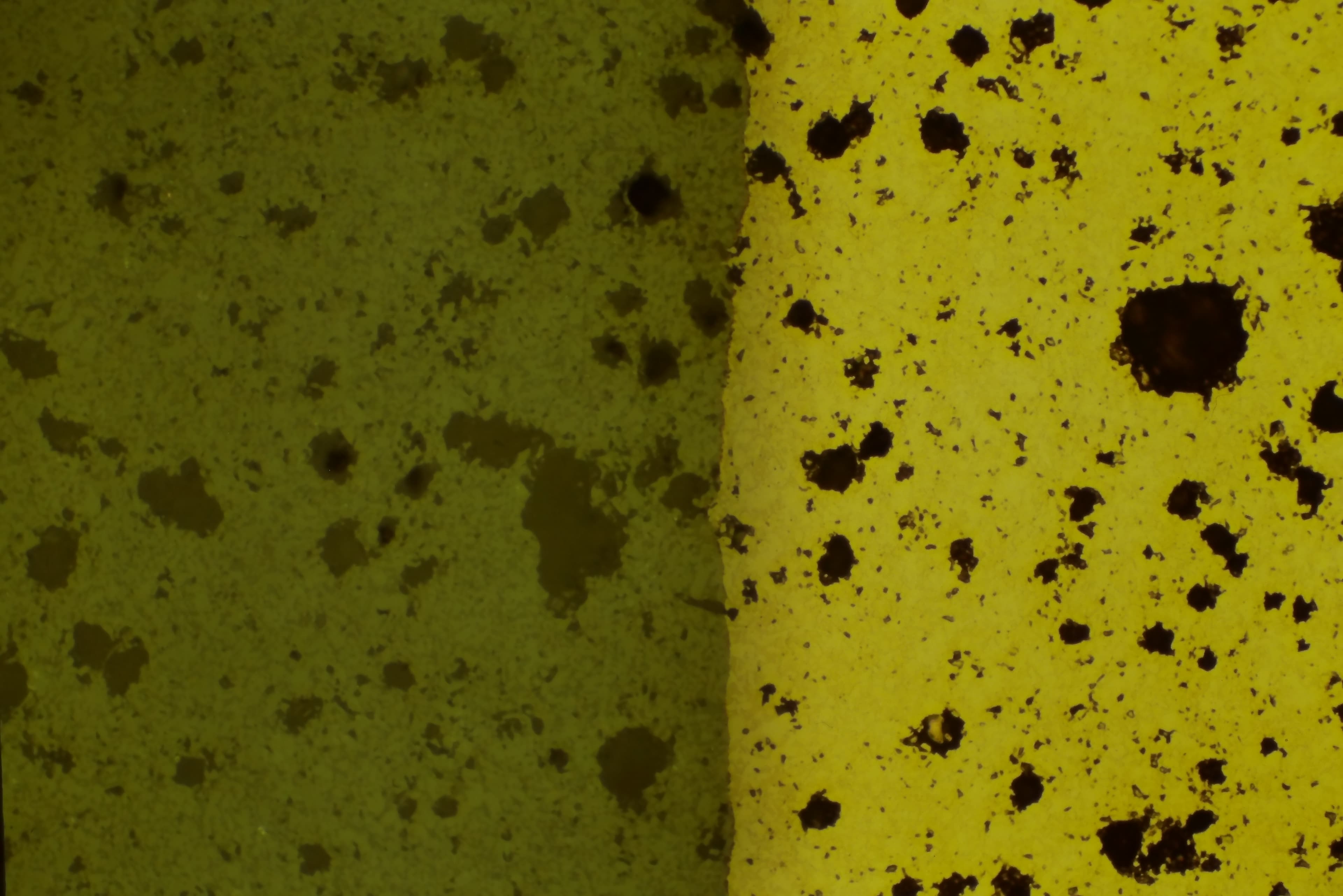 Aluminum, 200X, sputter coated