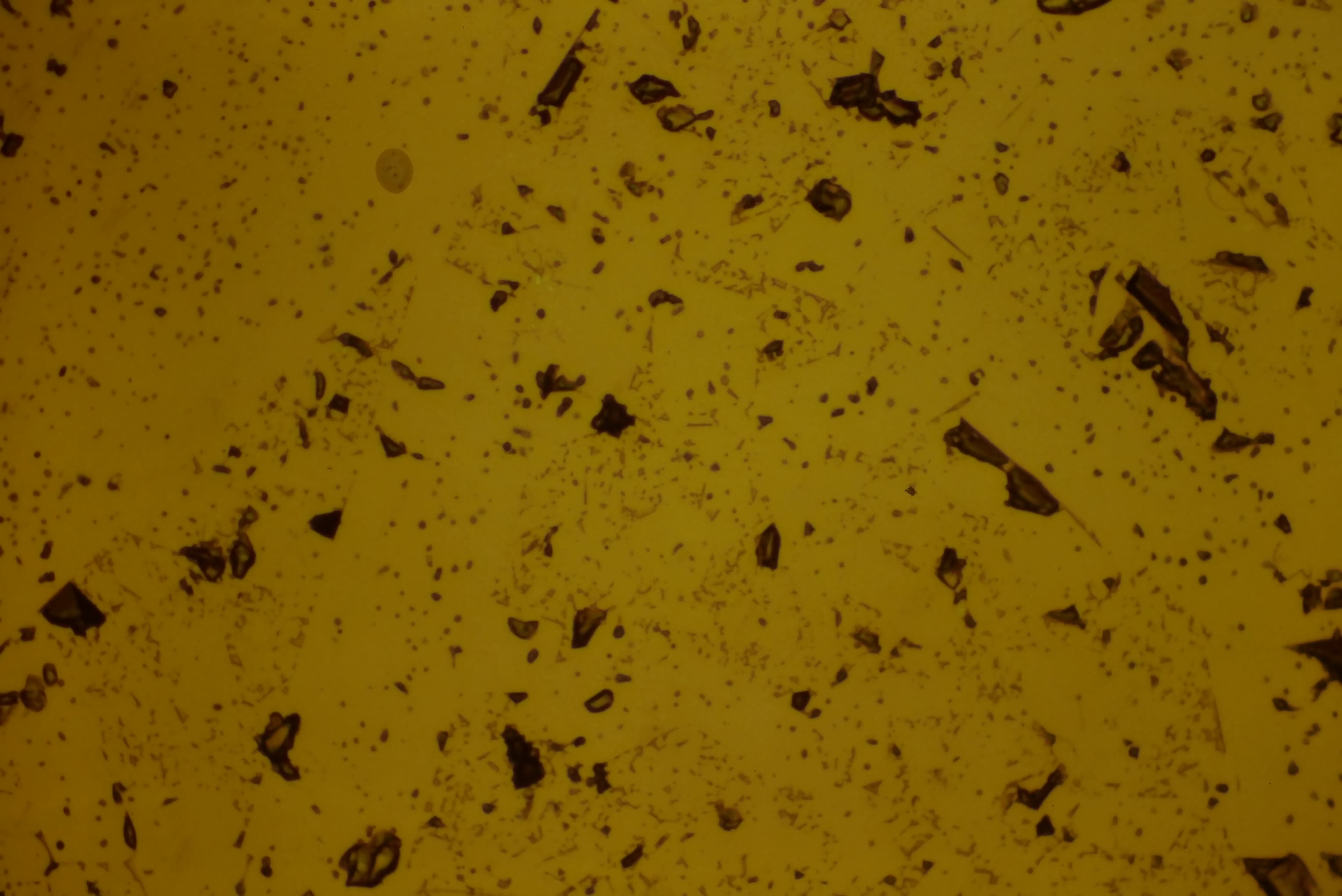 Ceramics Preparation microstructure