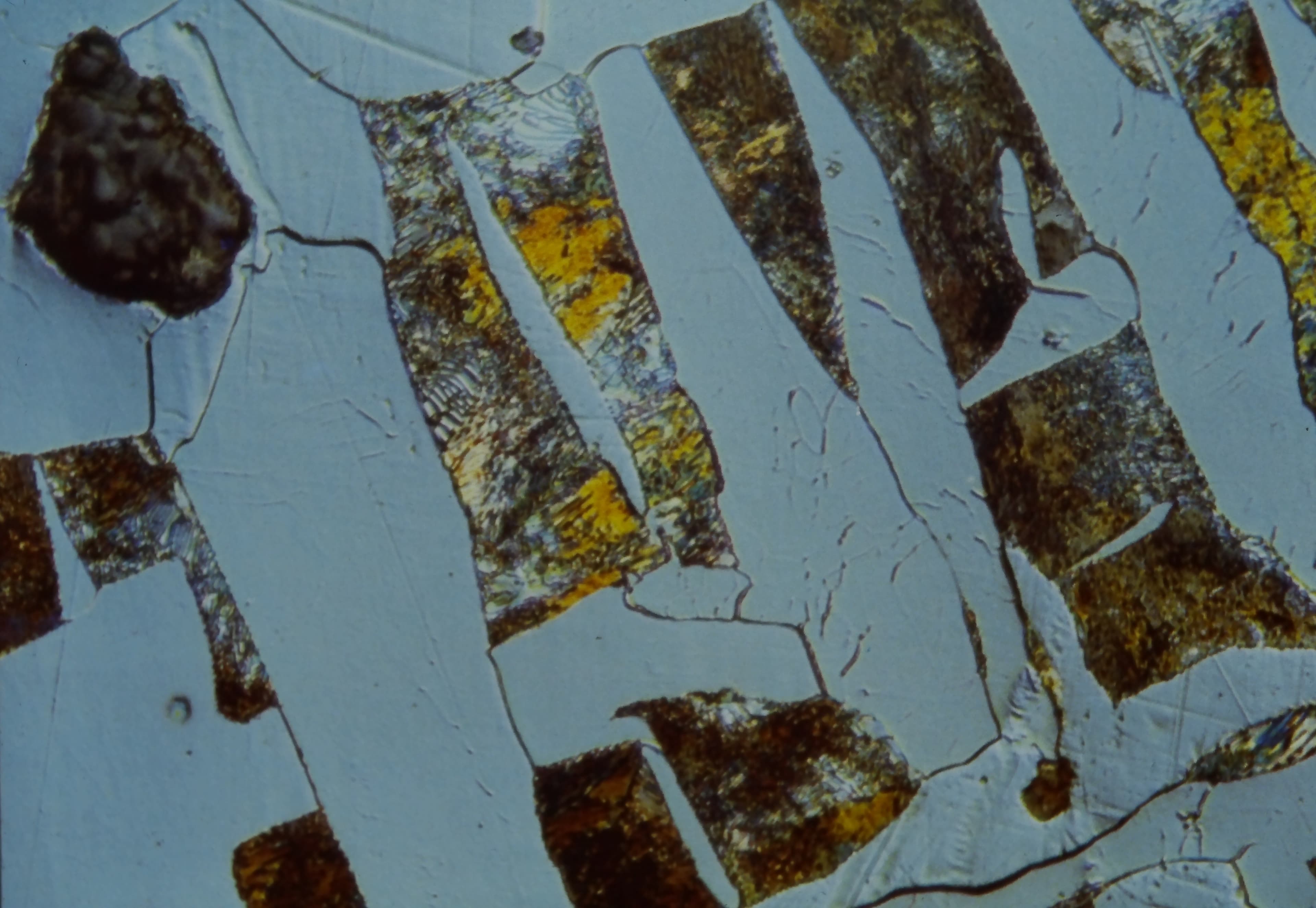 Ferrite and pearlite microstructure in steel showing metallographic sample preparation results