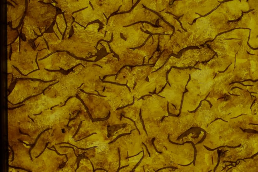 Gray cast iron with graphite flakes