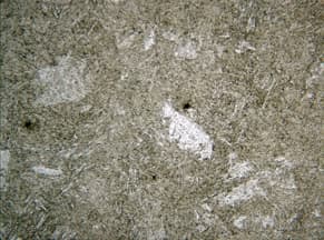 High-alloy tool steel microstructure after proper etching, showing carbides and acicular matrix structure