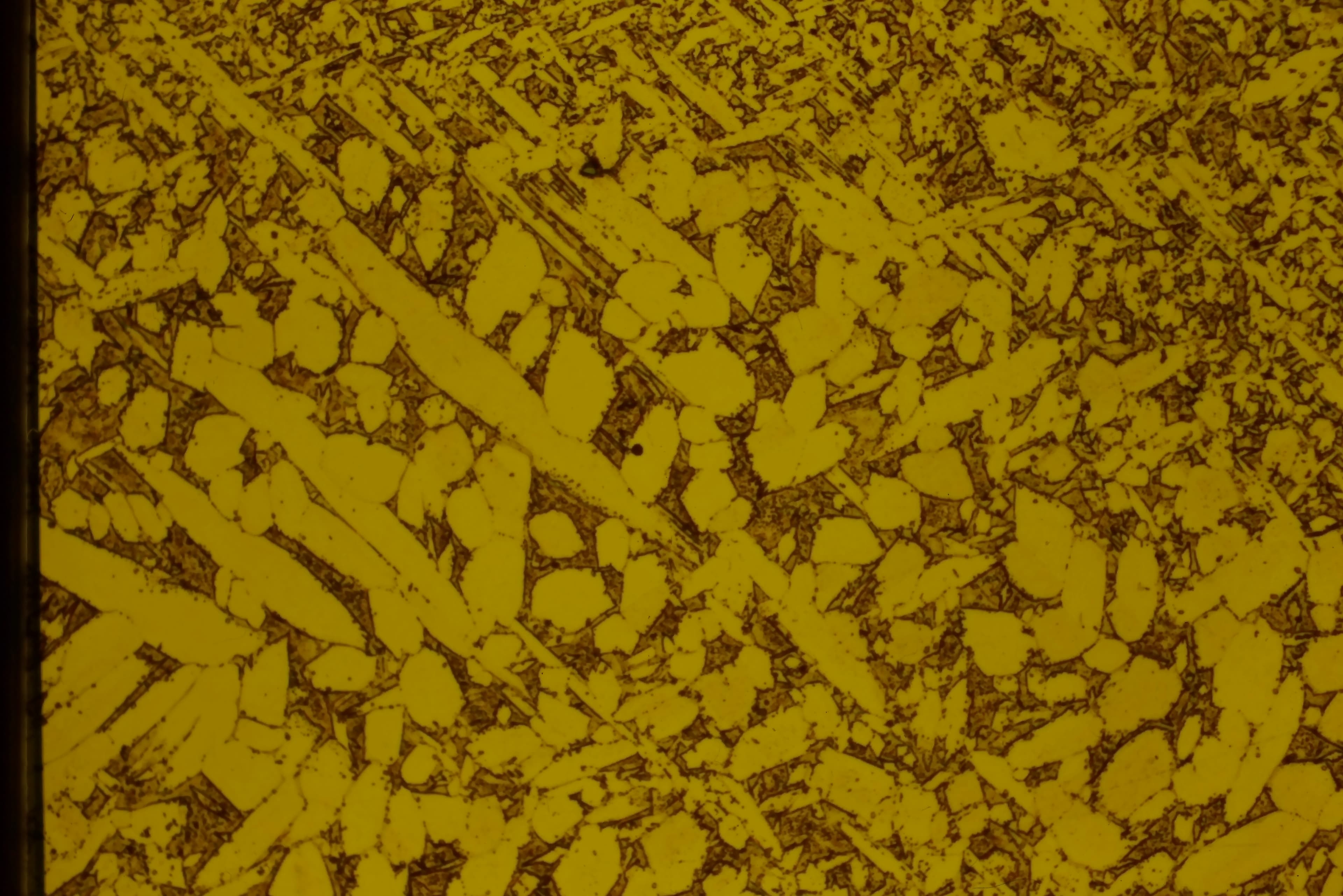 Manganese-aluminum bronze cast alloy microstructure showing phase distribution