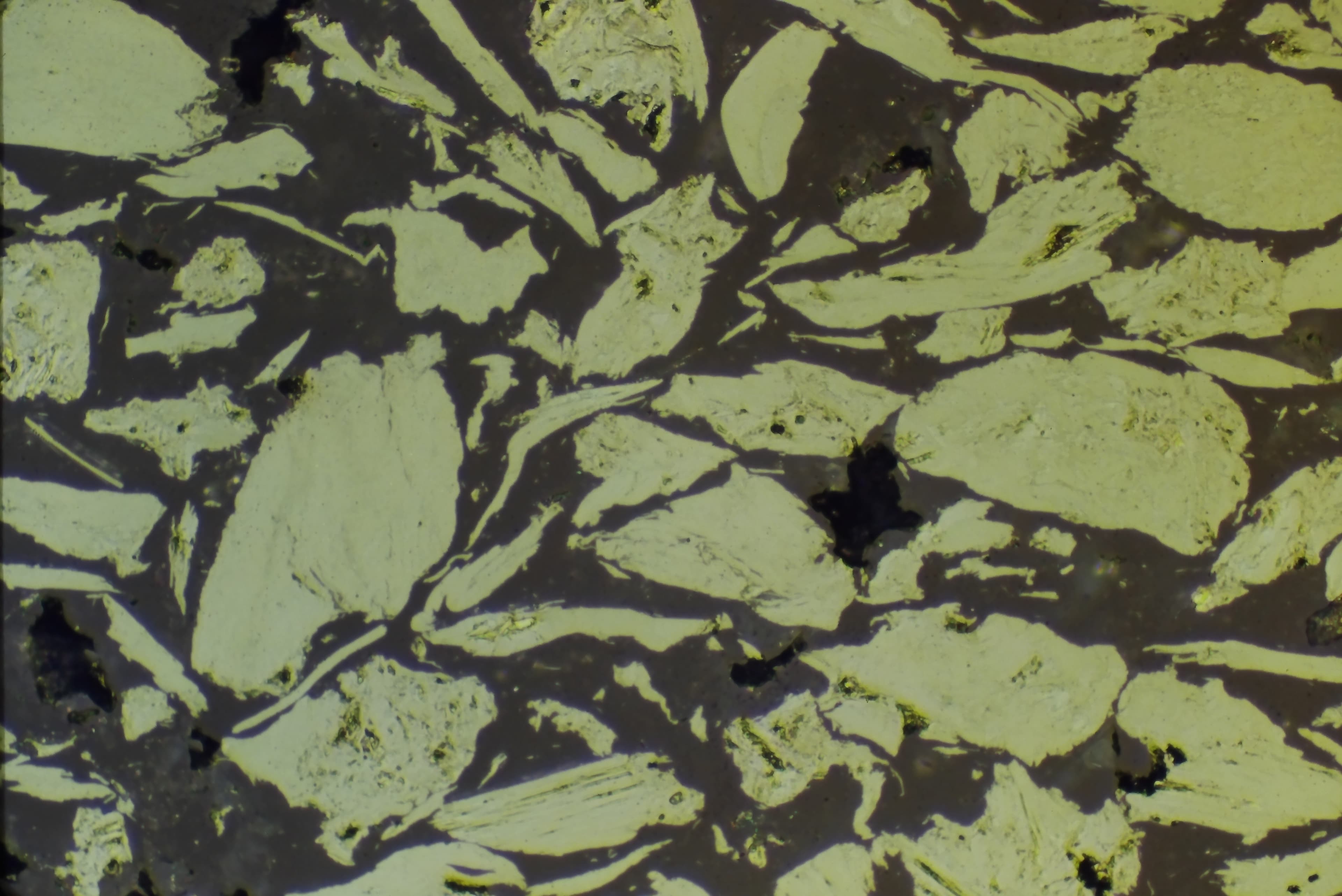 Polymer-graphite composite as-polished at 200X, demonstrating natural contrast from polishing without etching