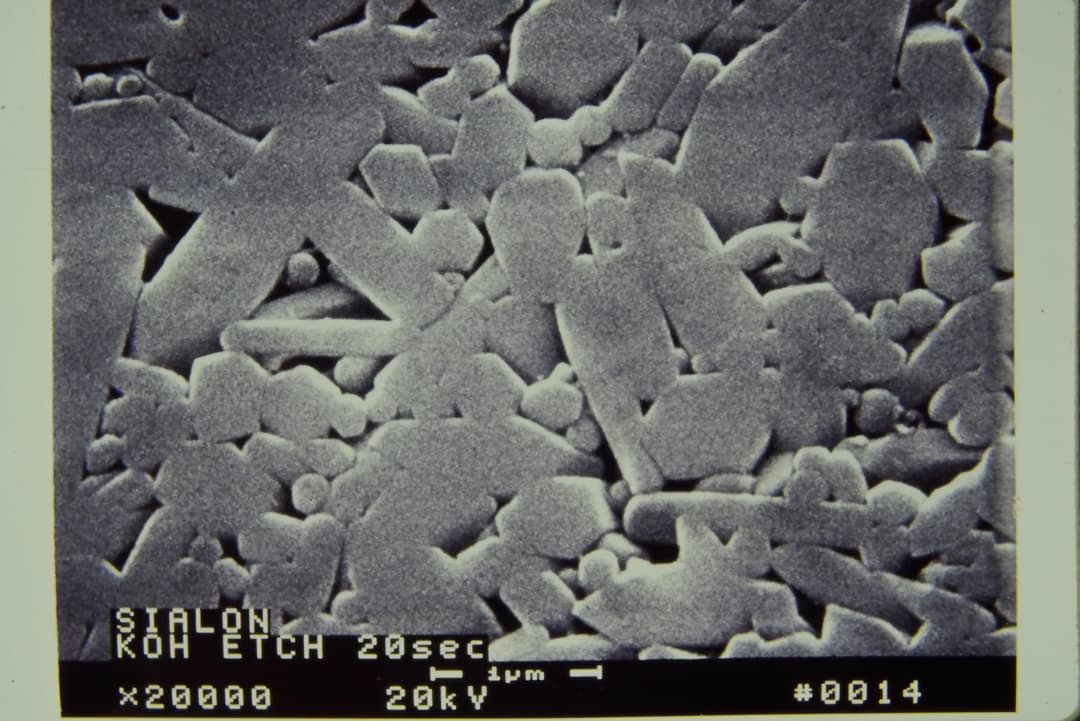 SEM image showing high magnification detail