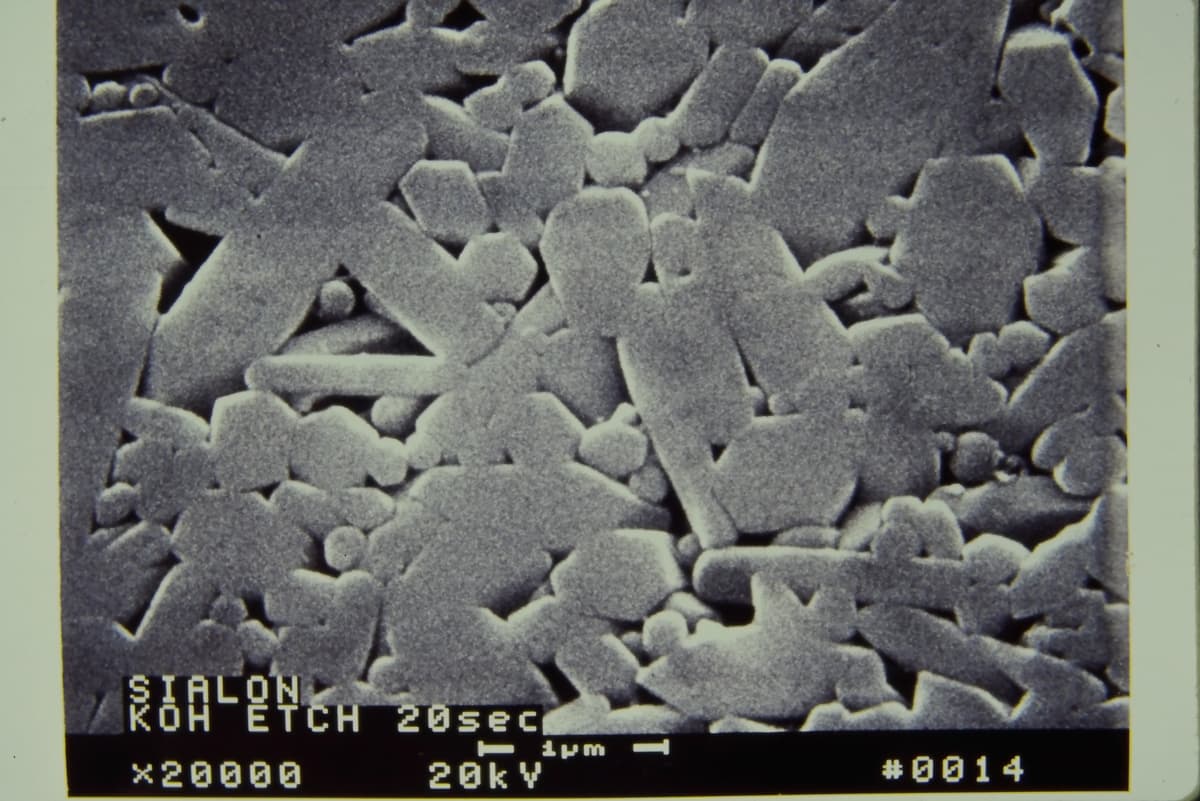 High magnification SEM image showing the capabilities of electron microscopy