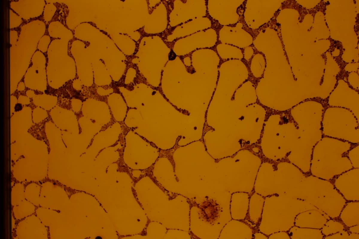 Tough pitch copper microstructure at 200X magnification, properly prepared and etched with ASTM No. 30