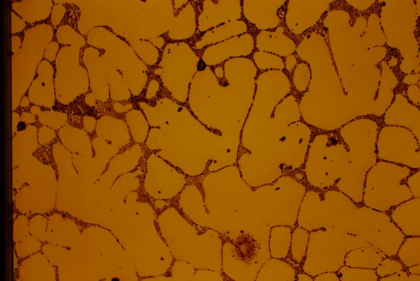 Tough pitch copper microstructure