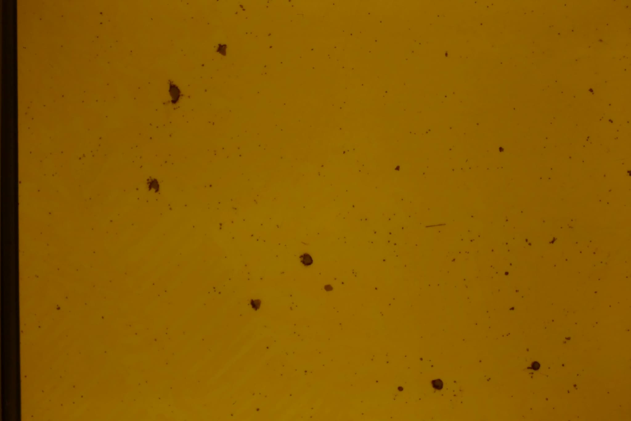 Castings and Foundry Analysis | Metallography.org