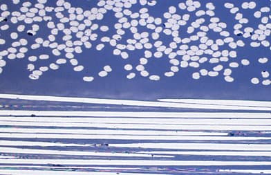 Composites Preparation microstructure